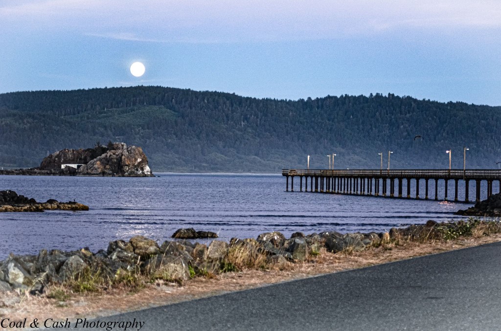 Picture of B Street Pier