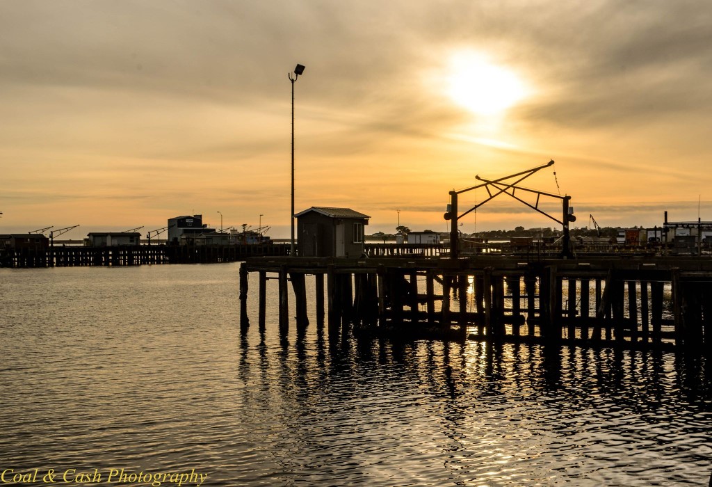 Picture of Citizen Docks