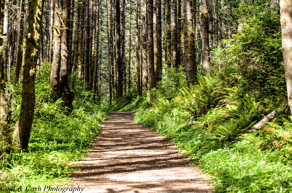 Picture of Damination Creek