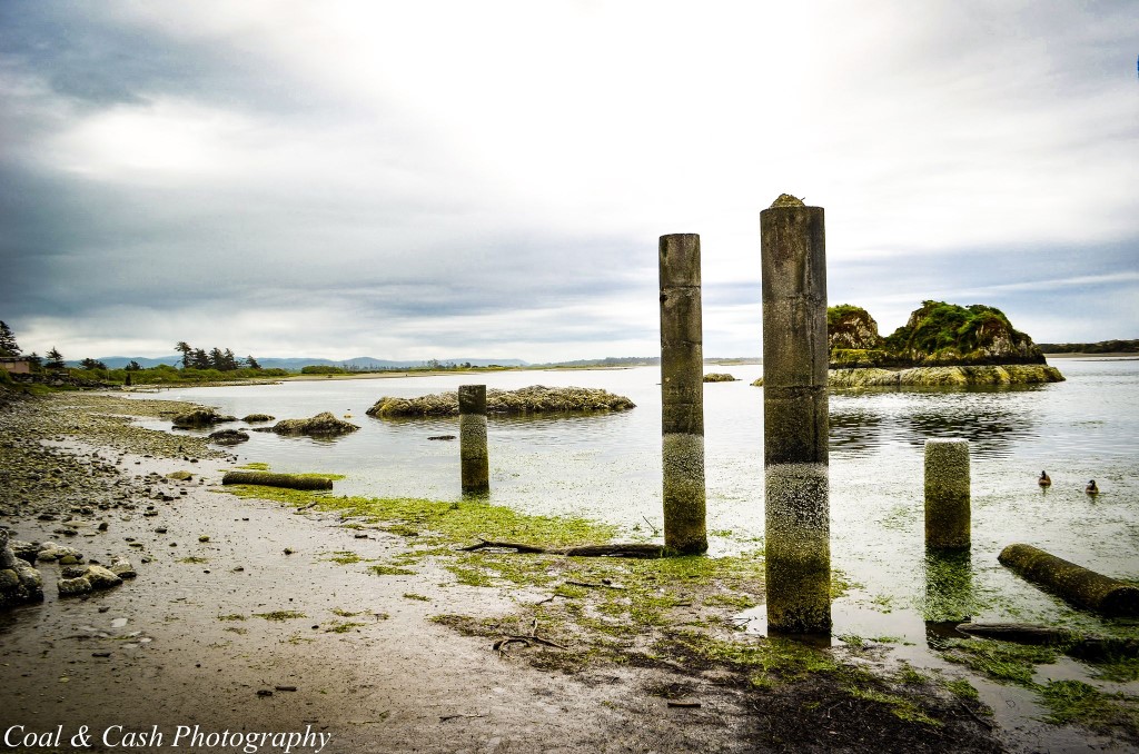 Picture of Old Docks