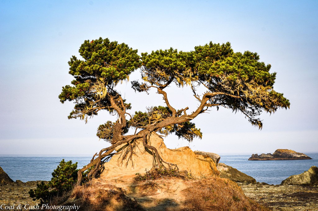 Picture of Preston Island